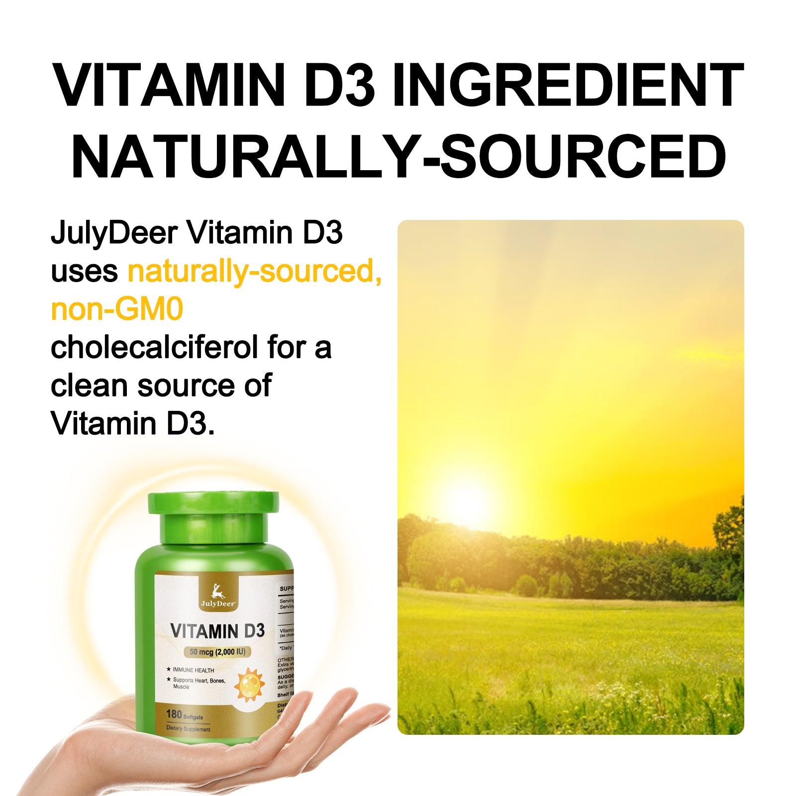 ビタミンD3 2000 IU (50 mcg) 180ソフトジェル | 免疫力、カルシウム吸収、骨の強化をサポート | 健康な骨に不可欠、非遺伝子組み換え、グルテンフリー、毎日の健康のために1日1回摂取